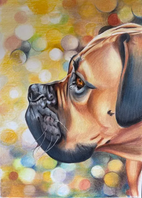Portrait de chien, technique crayon de couleur
